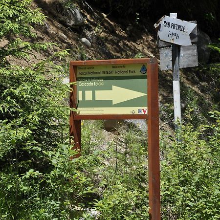 Cabana Cascada Carnic Nucsoara  Exterior photo