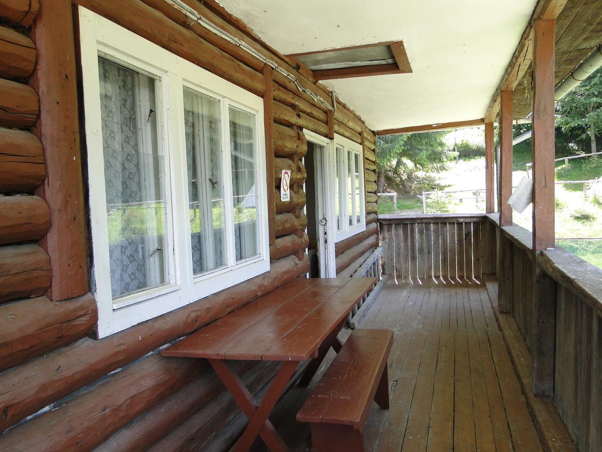 Cabana Cascada Carnic Nucsoara  Exterior photo