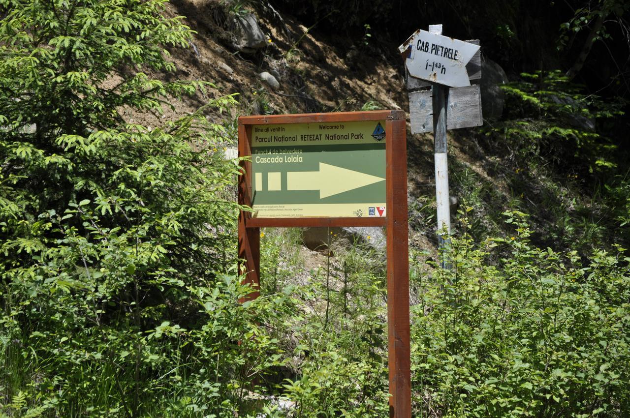 Cabana Cascada Carnic Nucsoara  Exterior photo